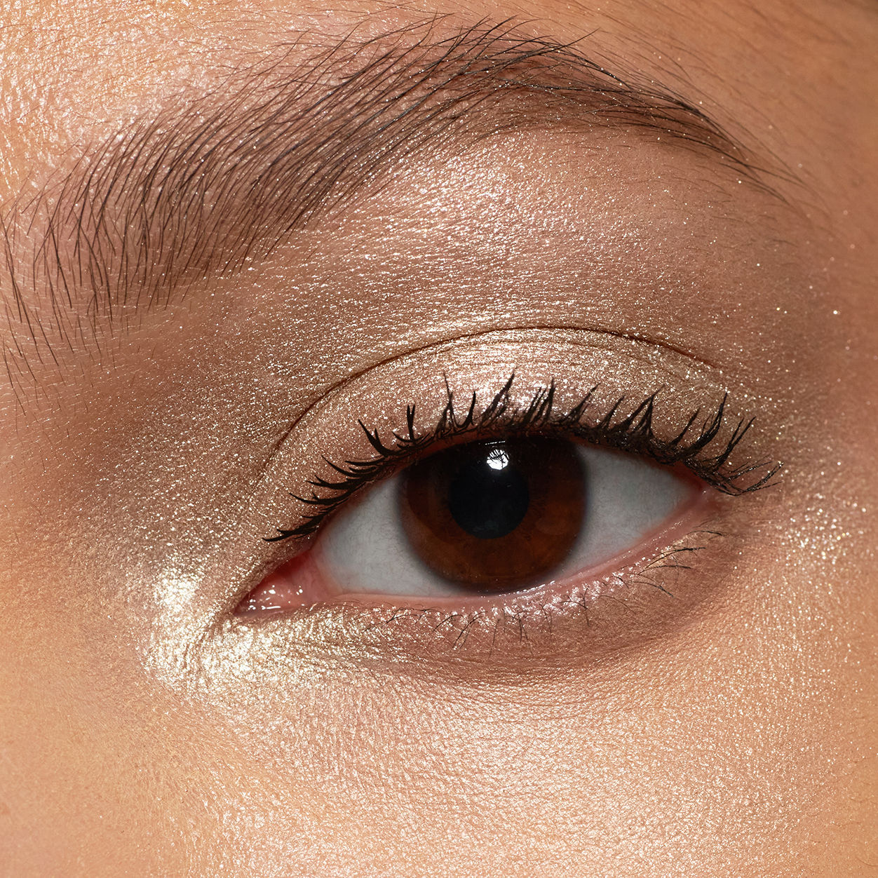 Pretty Shady Pressed Pigment