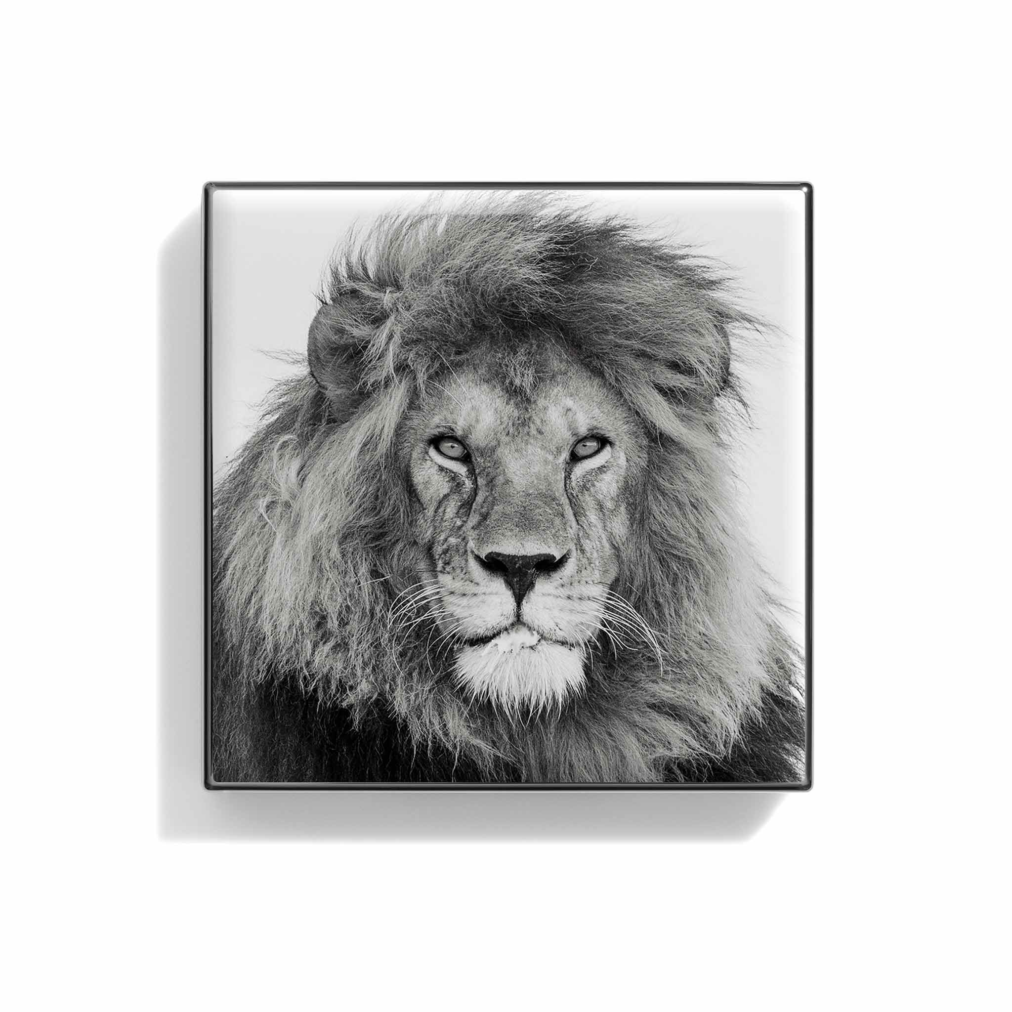 Luminescent Eye Shade