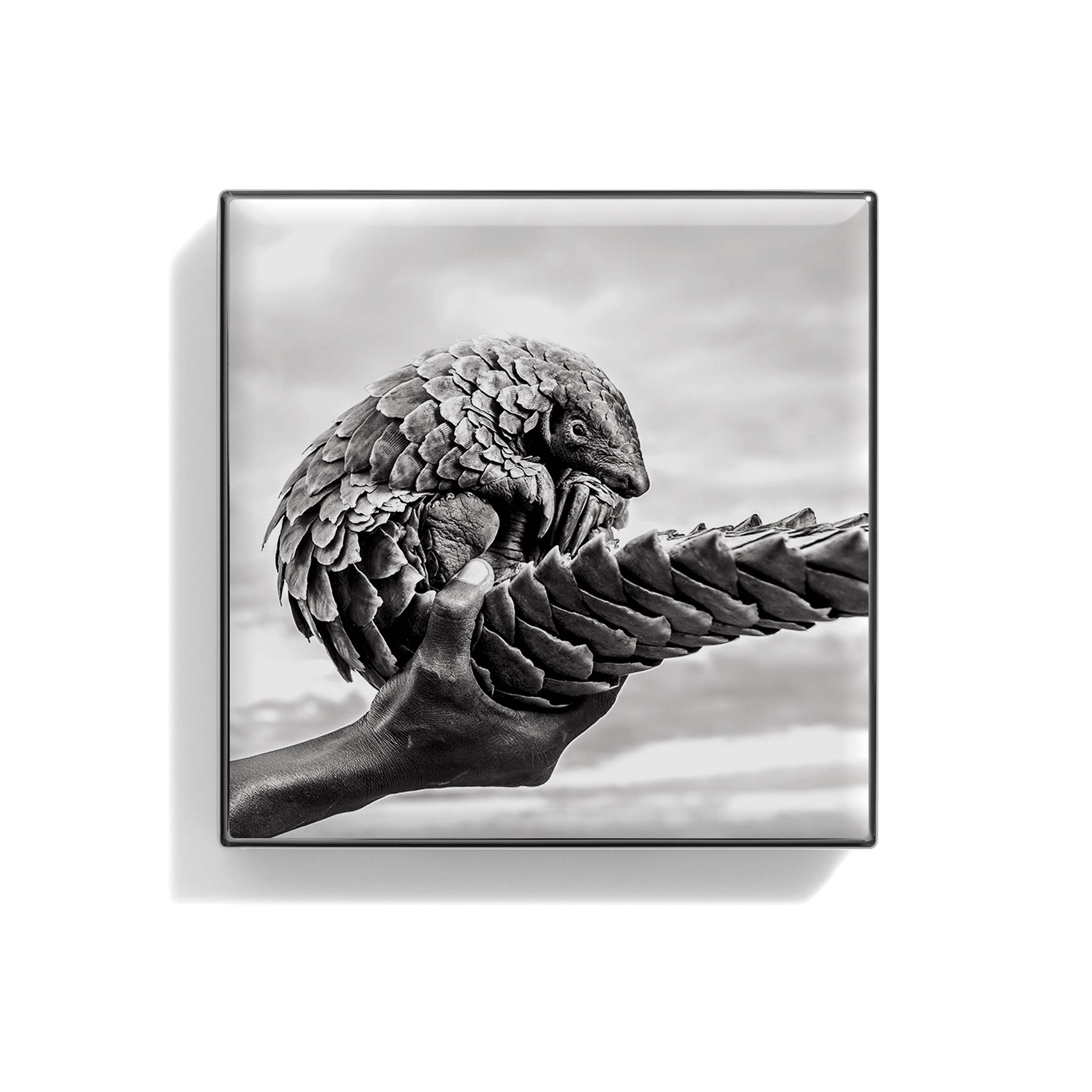 Luminescent Eye Shade