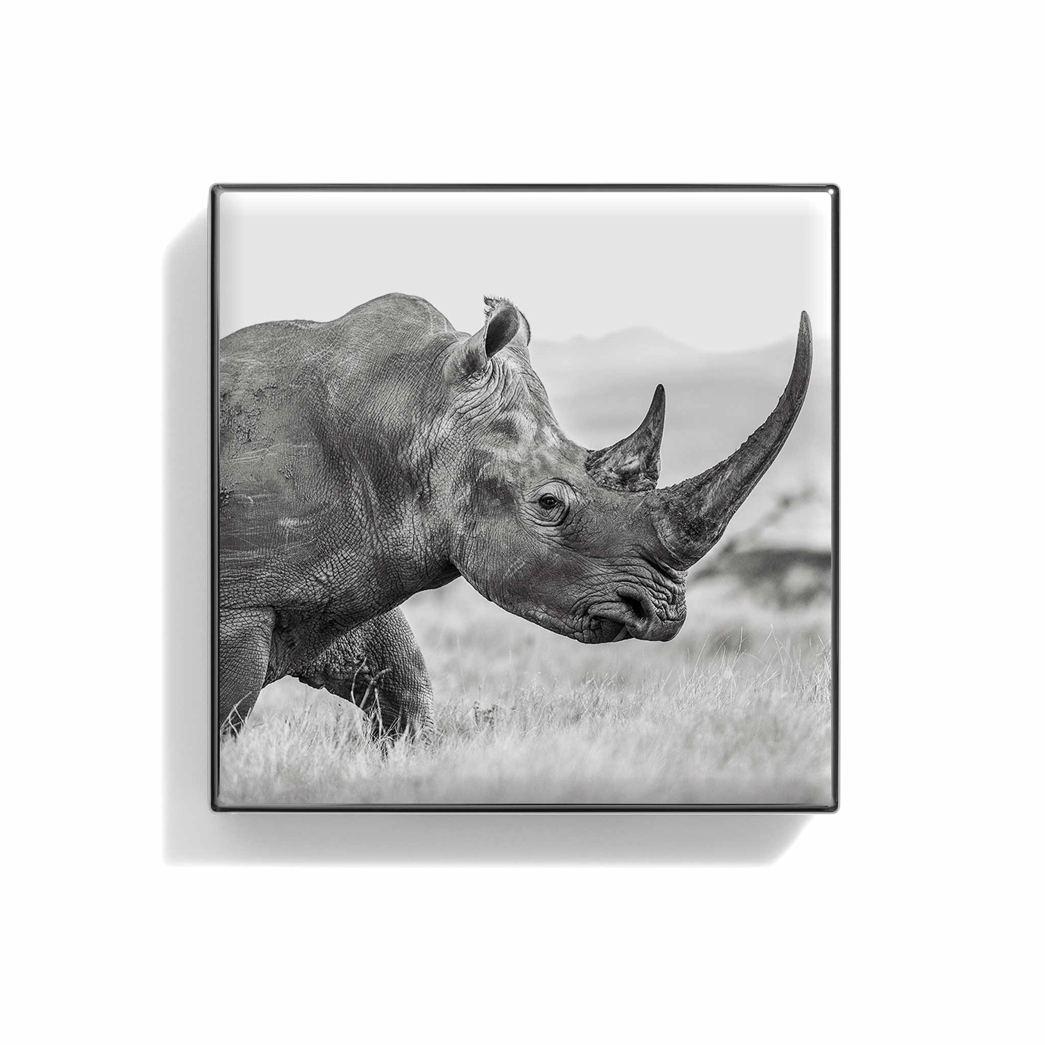 Luminescent Eye Shade