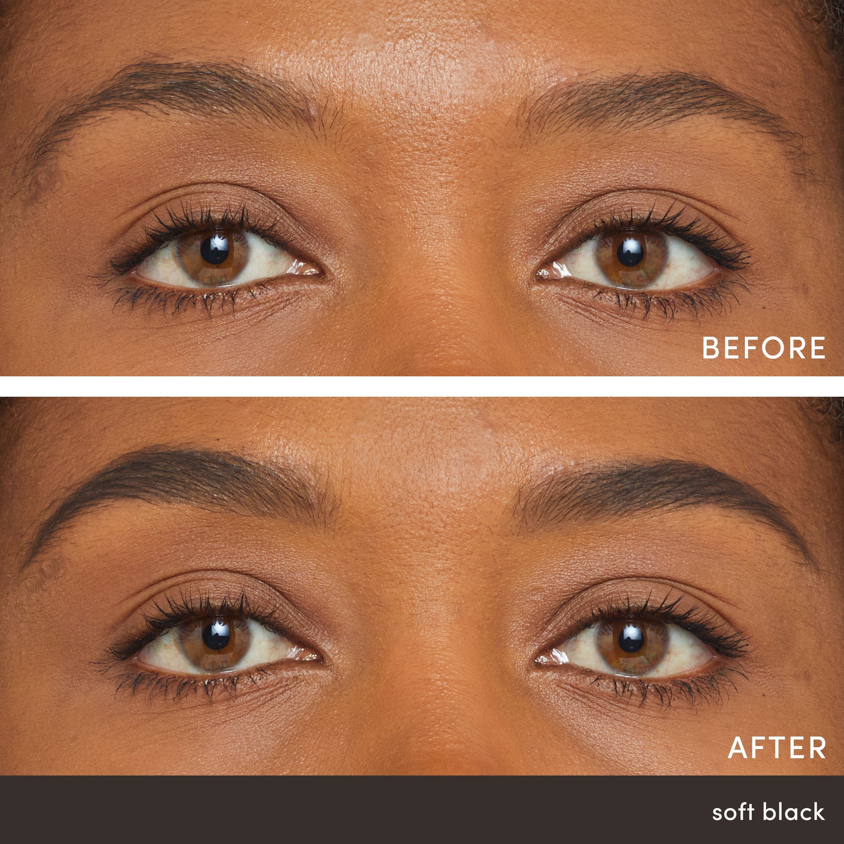 PureBrow Brow Powder