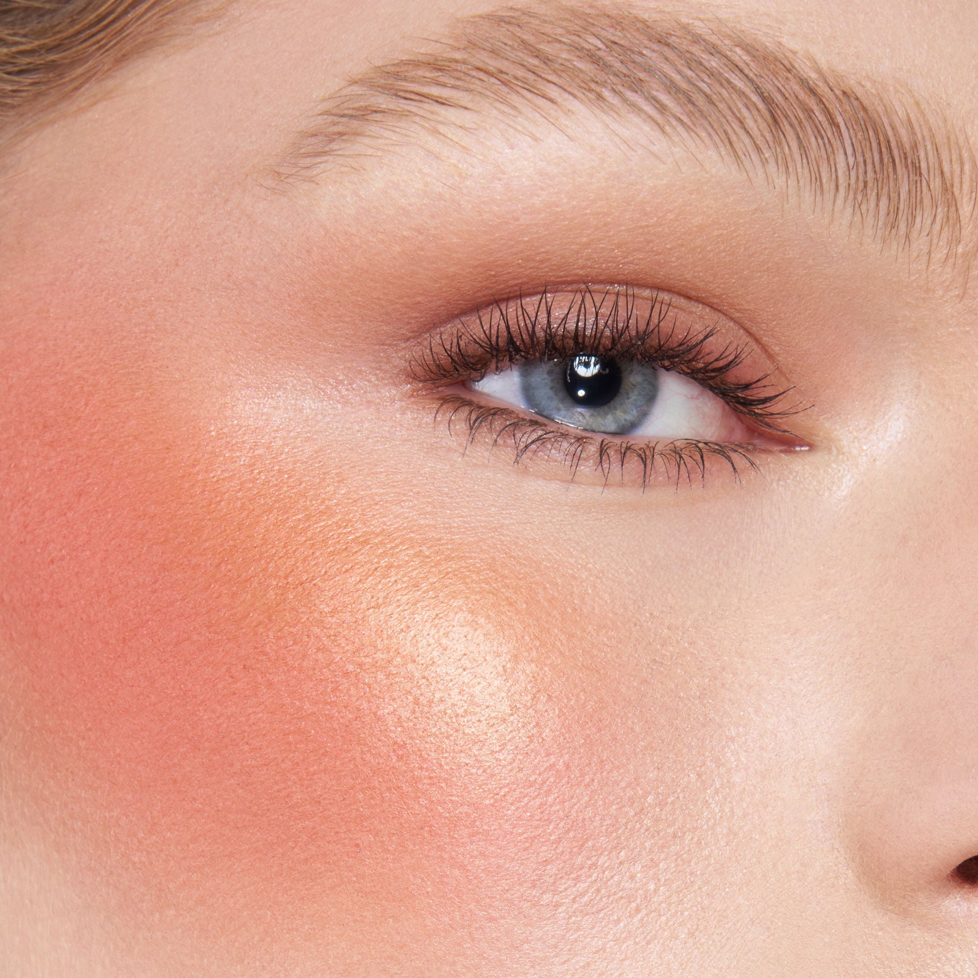 Mini Hollywood Blush and Glow